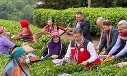 Tarım ve Orman Bakanı İbrahim Yumaklı Rize'de Çayı Değerlendirdi