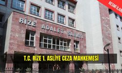 T.C. RİZE 1. ASLİYE CEZA MAHKEMESİ