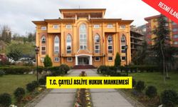 T.C. ÇAYELİ ASLİYE HUKUK MAHKEMESİ