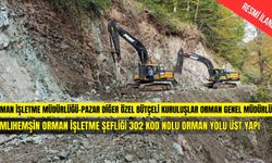 ÇAMLIHEMŞİN ORMAN İŞLETME ŞEFLİĞİ 302 KOD NOLU ORMAN YOLU ÜST YAPI