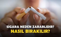 Sigara Neden Zararlıdır? Sigara Bırakma Yöntemleri Nelerdir?