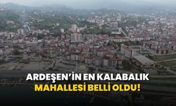 Ardeşen'de En Fazla Nüfusa Sahip Mahalle Belli Oldu