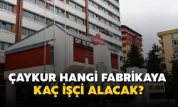 ÇAYKUR'da Hangi Fabrikaya Ne Kadar İşçi Alınacak? İşte Detaylı Kontenjan Dağılımı (2025)