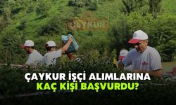 ÇAYKUR Mevsimlik İşçi Alımına Kaç Kişi Başvurdu?
