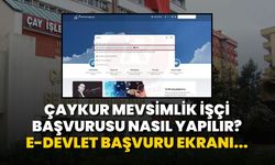 ÇAYKUR mevsimlik işçi başvurusu nasıl yapılır? E-Devlet başvuru ekranı...