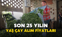 Son 25 Yılın Yaş Çay Alım Fiyatları (2000-2025)