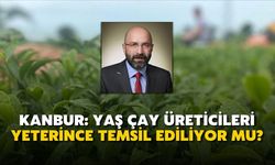 Kanbur: Yaş Çay Üreticileri Yeterince Temsil Ediliyor mu?
