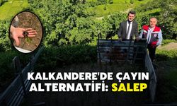 Kalkandere'de Çayın Alternatifi Salep
