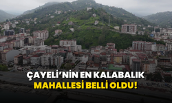 Çayeli'nin En Kalabalık Mahallesi Belli Oldu