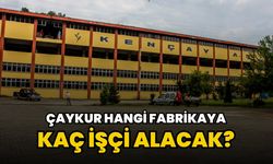ÇAYKUR'da Hangi Fabrikaya Ne Kadar İşçi Alınacak? İşte Detaylı Kontenjan Dağılımı (2025)