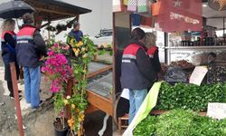 Rize'de Fide ve Fidan Satışları Denetleniyor