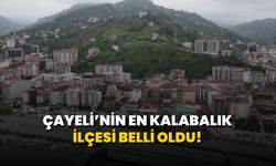 Çayeli'nin En Kalabalık Mahallesi Belli Oldu