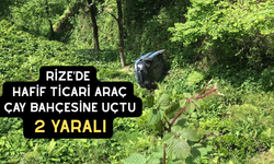 Rize'de Hafif Ticari Arac Çay Bahçesine Uçtu: 2 Yaralı