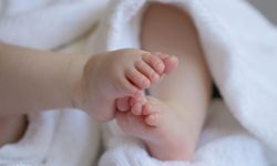 Rize'de Bebekler En Fazla Bu Ayda Dünyaya Geldi