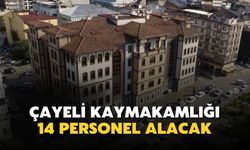 Çayeli Kaymakamlığı, İUP Kapsamında 14 Personel Alacak