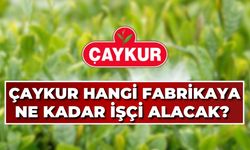 ÇAYKUR’da Hangi Fabrikaya Ne Kadar İşçi Alınacak? 2025 ÇAYKUR Mevsimlik İşçi Alımları Başladı mı?
