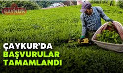 ÇAYKUR'DA BAŞVURULAR TAMAMLANDI