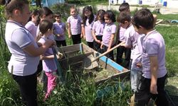 Sinop’ta çevreci eğitim modeli