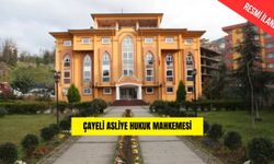 ÇAYELİ ASLİYE HUKUK MAHKEMESİ
