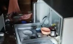 İkizdere'de ayılar yayla evlerine zarar verdi