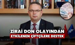 Zirai don olayından etkilenen çiftçilere destek