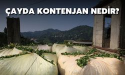 Çayda kontenjan nedir?
