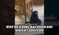 Rize'de İlginç Bal Dükkanı Dikkat Çekiyor