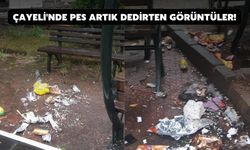 Çayeli'nde Pes Artık Dedirten Görüntüler