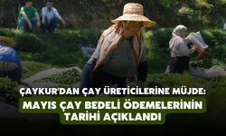 ÇAYKUR'dan çay üreticilerine müjde: Mayıs çay bedeli ödemelerinin tarihi açıklandı