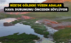 Rize'de Göldeki Yüzen Adalar Hava Durumunu Önceden Söylüyor