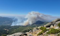 İspanya’da 3 farklı noktada orman yangını