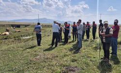 Kars’ta Büyükbaş Hayvanlar Aşılanıyor