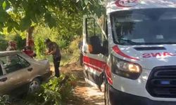 Kontrolden çıkan Tofaş ağaca çarptı: Karı-koca yaralandı