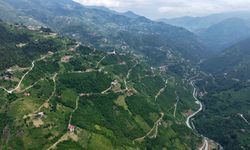 Trabzon’un Yol Ağı, Washington Gidiş-geliş Mesafesini Geride Bıraktı