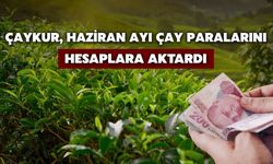 ÇAYKUR, Haziran Ayı Çay Paralarını Hesaplara Aktardı