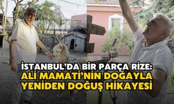 İstanbul’da Bir Parça Rize: Ali Mamati’nin Doğayla Yeniden Doğuş Hikayesi