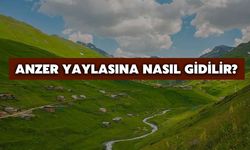 Anzer Yaylasına Nasıl Gidilir?