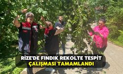 Rize'de Fındık Rekolte Tespit Çalışması Tamamlandı