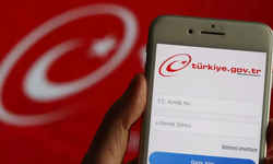 E-Devlet’te Yeni Özellik! Artık Bu İşletmeler İfşa Oluyor