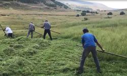 Ardahanlı çiftçilerin tırpanlarla zorlu ot biçme mesaisi