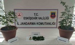 Balkondaki saksıların içinde  2 kök kenevir ve 47 gram esrar maddesi ele geçirildi