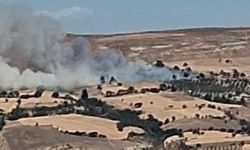 Çanakkale’de tarım arazisinde yangın