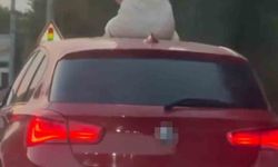 Çeşme’de otomobil sunroofunda twerk dansı adliyelik oldu