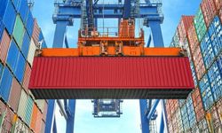 Düzce’den 8 Bin 849,5 Ton Orman Ürünü İhraç Edildi
