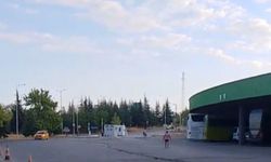 Otogarı’nda İlginç Anlar: Eşek Bu Kez Otobüs Şoförünün Yastığını Çaldı