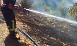 Elazığ’da bahçe yangını söndürüldü