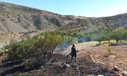 Malatya’da ormanlık alanda çıkan yangın söndürüldü