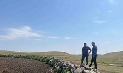 Kars’ta Şap Hastalığıyla Mücadele Sürüyor
