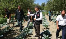 Modern basınçlı sulama sistemiyle hem işçilikten hem de verimden kazandı