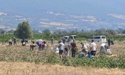Patates Tarlasındaki Ürünleri Ücretsiz Dağıttı